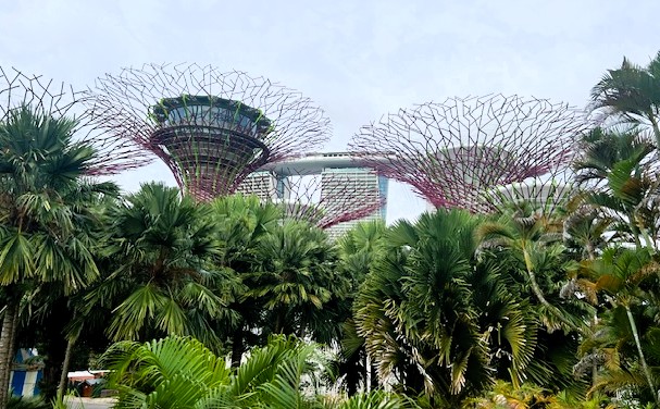 Singapore: The Swing of Things
